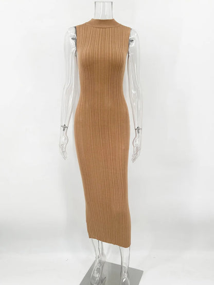 Celeste Sleeveless Turtleneck Knit Dress